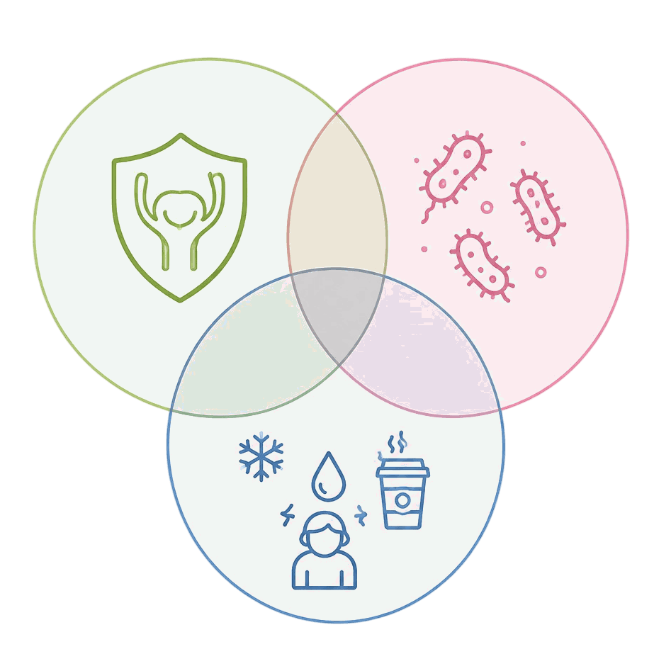 Diagram cistitisa